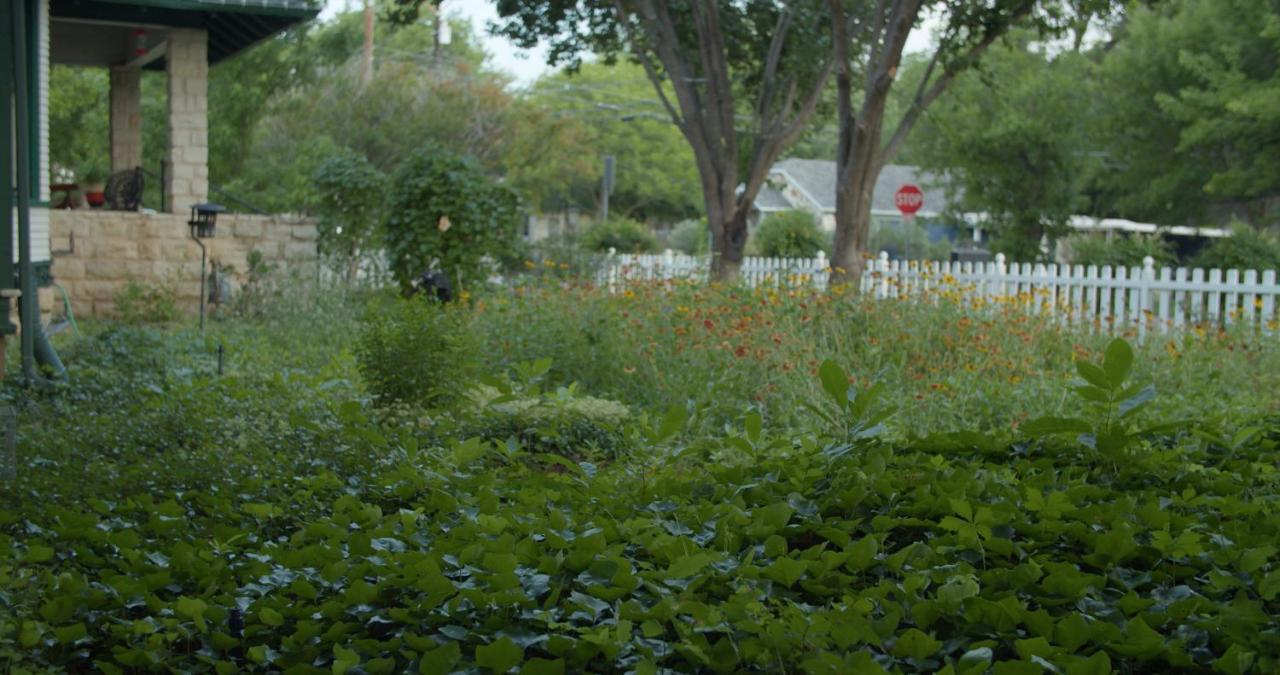 Granbury Gardens Bed And Breakfast Екстер'єр фото
