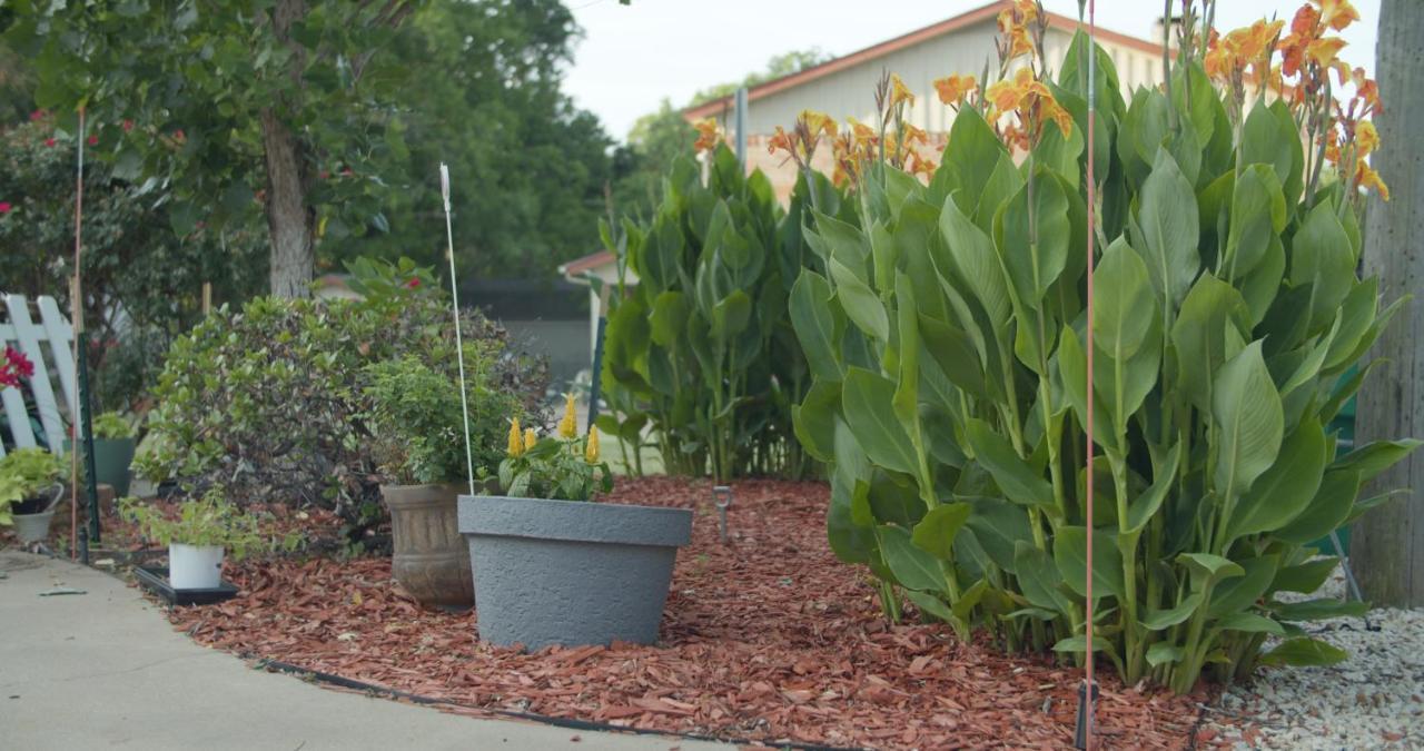 Granbury Gardens Bed And Breakfast Екстер'єр фото